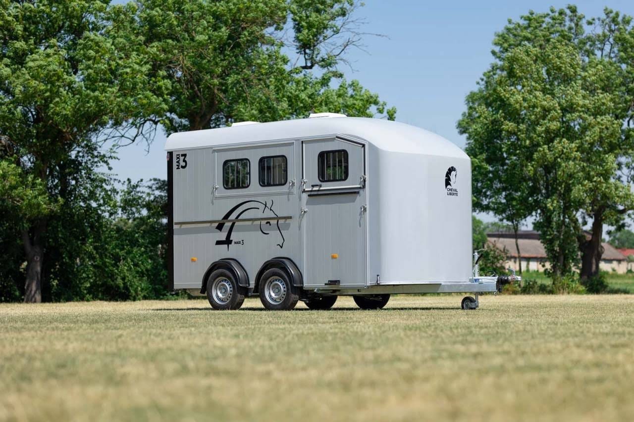 Van Minimax – Maxi 3